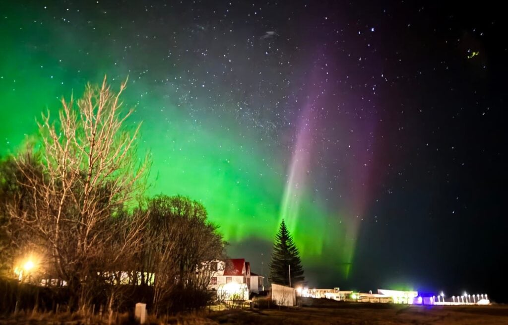 Northern Lights display over a rural Icelandic landscape with trees and houses at night.