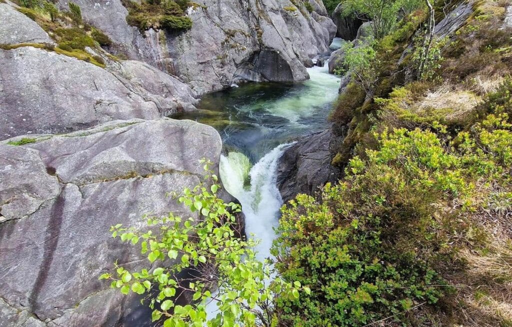 A narrow river flows through a rocky gorge with lush green bushes on the sides.