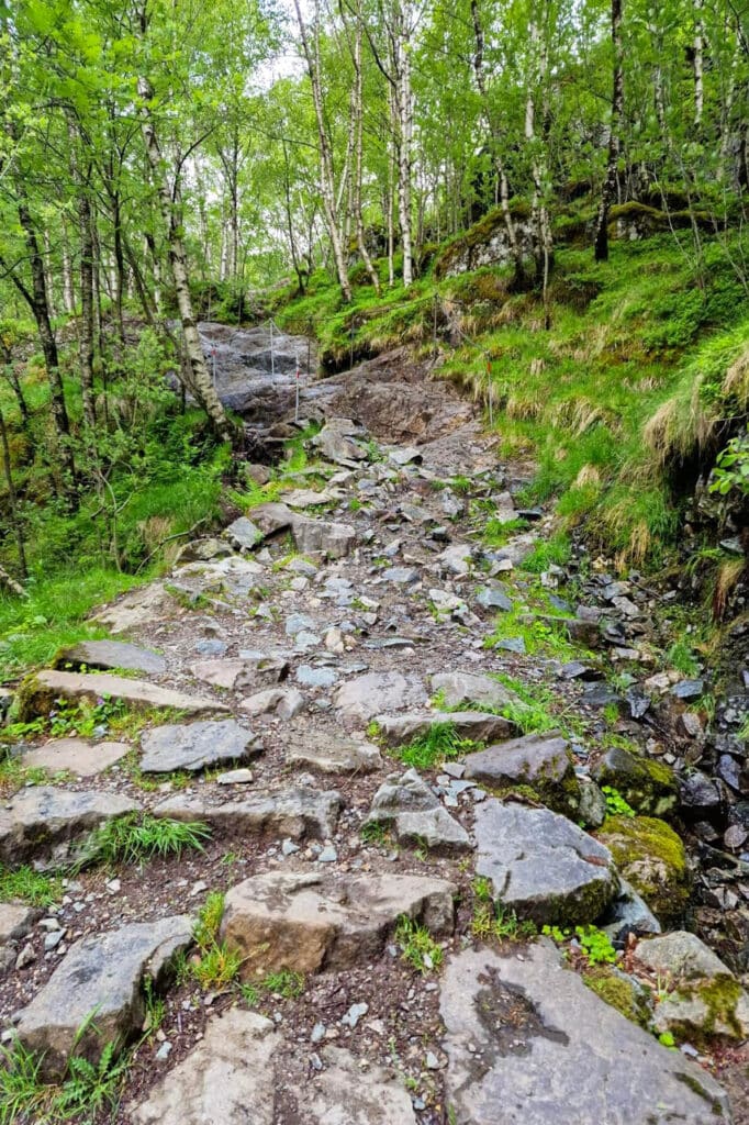 Rocky hiking trail through lush green forest with small waterfall in the background.