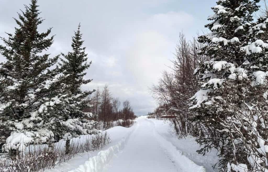 Snowy scenery in Iceland in January