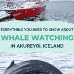 WHALE WATCHING IN AKUREYRI