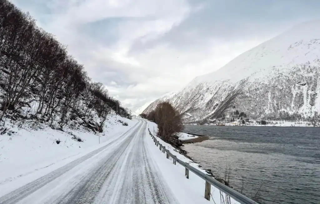 Snow-covered road winding along a fjord with mountains and trees in Norway.
