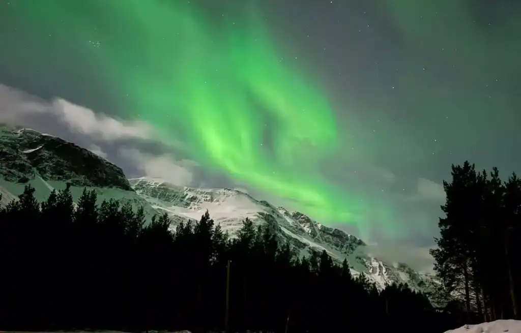 Vivid green Northern Lights dance across a dark sky over snow-covered mountains and pine trees.
