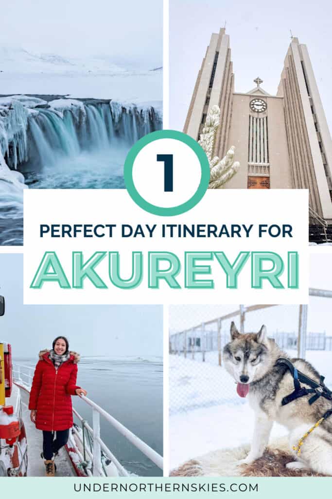 ONE DAY IN AKUREYRI PIN