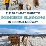 REINDEER SLEDDING IN TROMSO