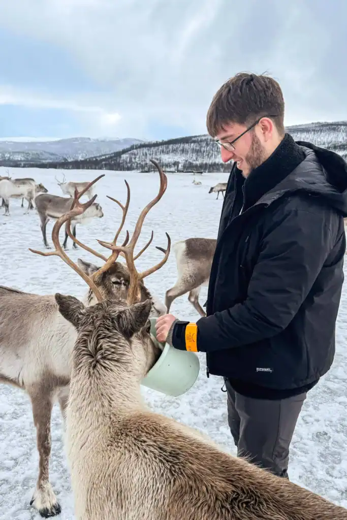 Andrew feeding the reindeer