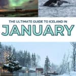 Northern lights over a snowy landscape with a small building, whale breaching the water, and a snowy hot spring scene.