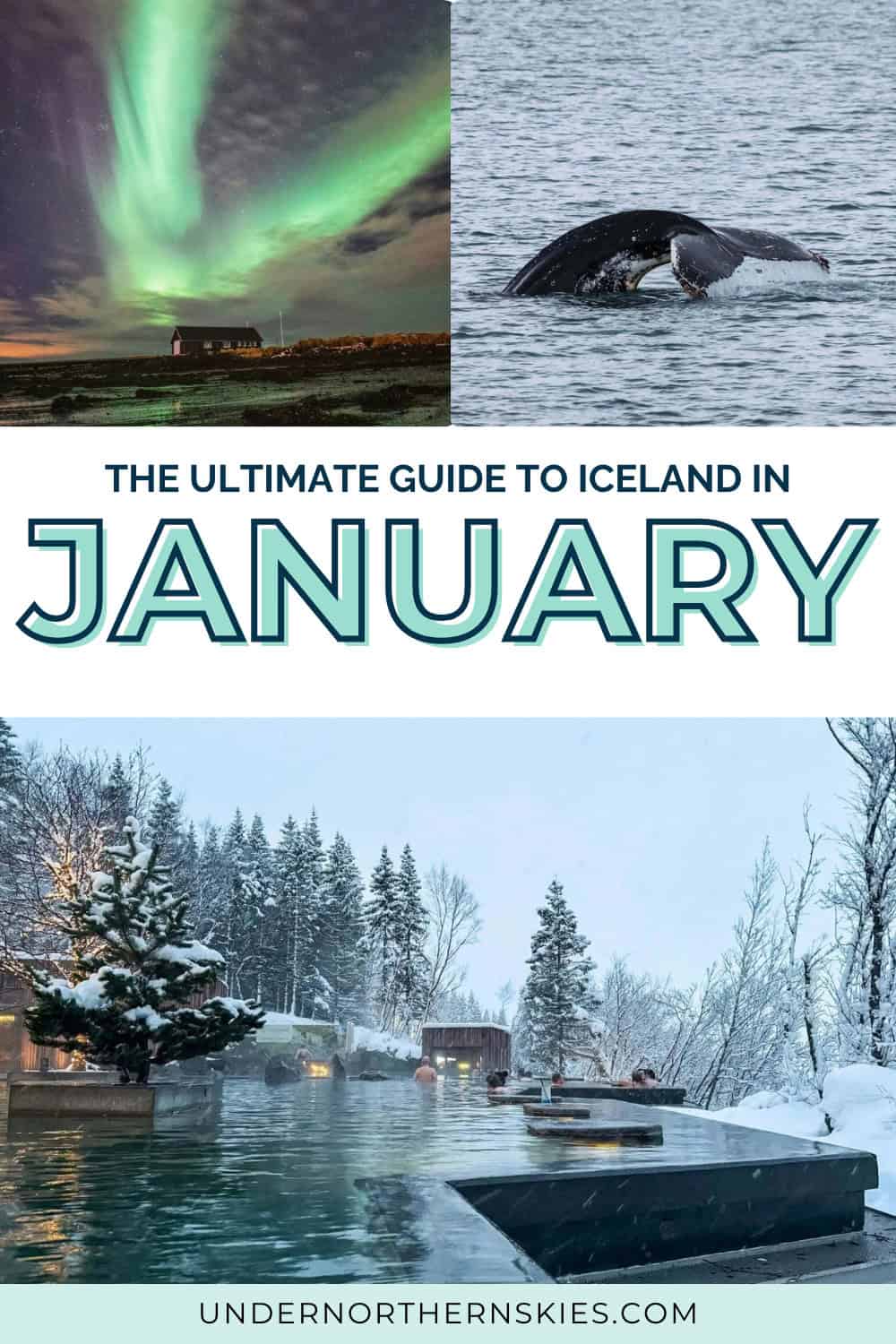 Iceland in January: Weather, Tips & What to Expect - Under Northern Skies