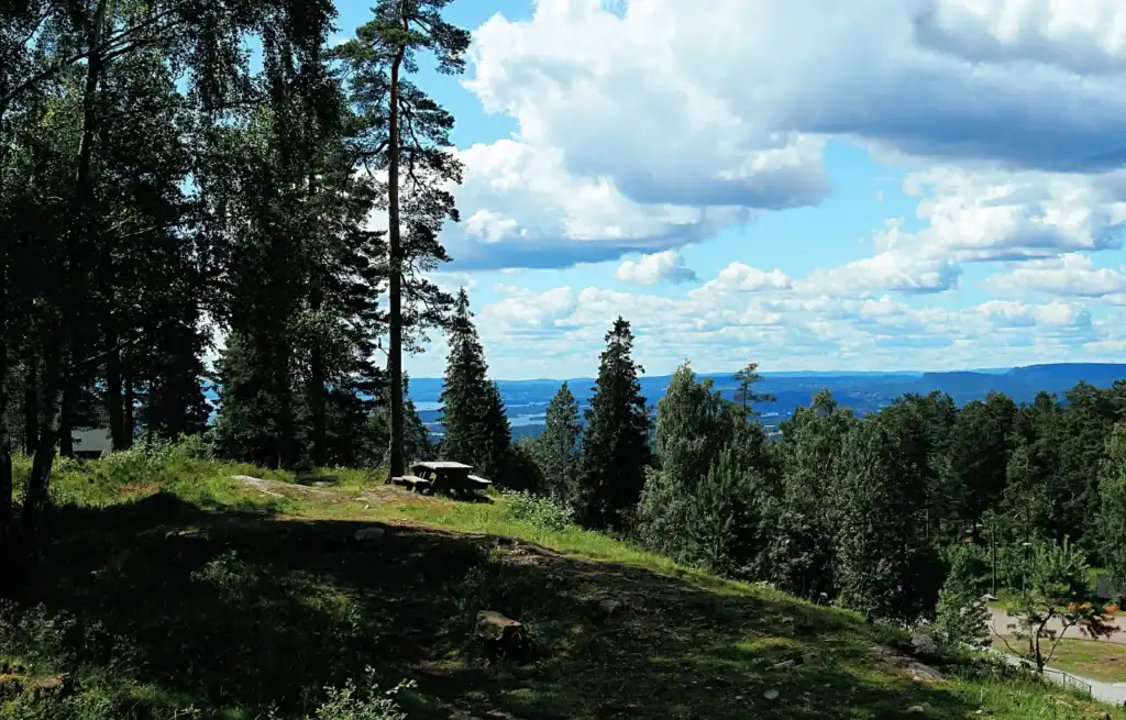 Lush green forested hillside with a picnic table and expansive view of distant mountains and sky.
