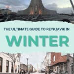 winter in reykjavik