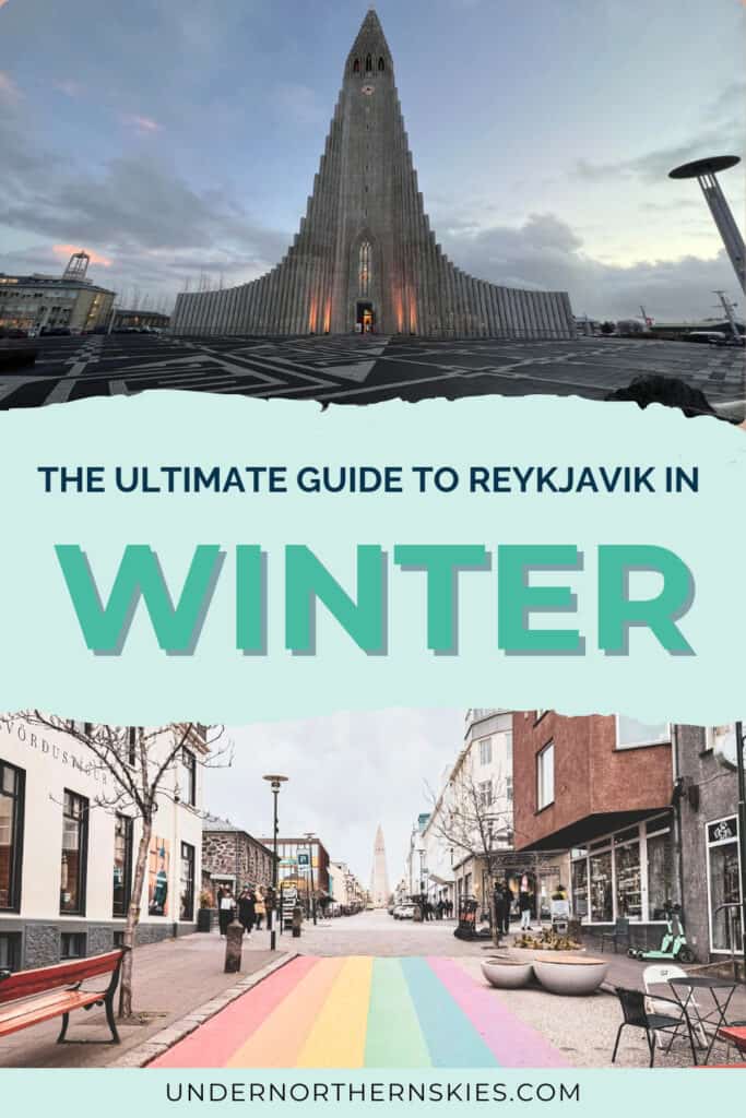 winter in reykjavik