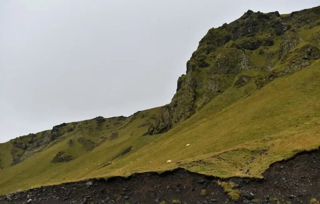 Green grassy hillside with rocky outcrops under cloudy sky in Iceland.