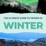 Northern lights over snow-capped mountains and a forest in Tromso during winter.