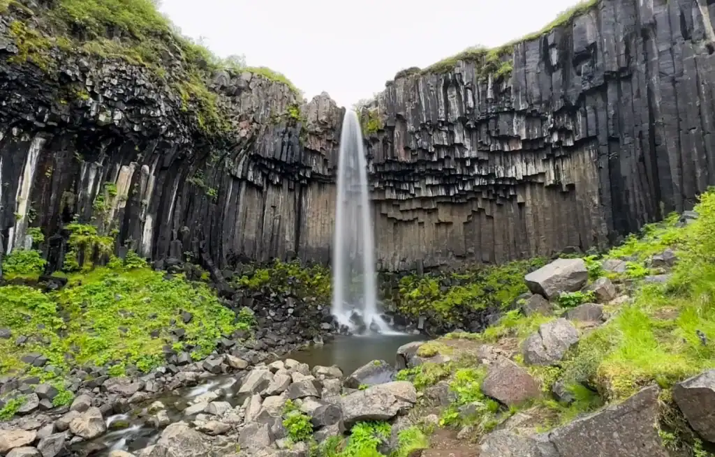 Svartifoss waterfall surrounded by basalt columns and lush greenery in Iceland.