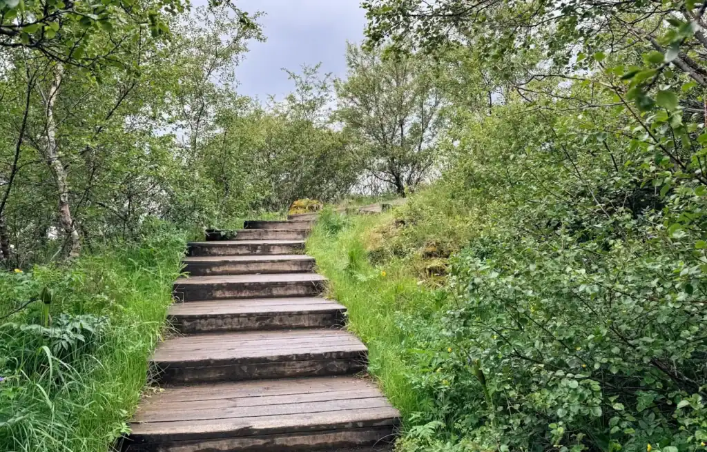 Wooden steps leading uphill through lush green trees and bushes in a forested area.