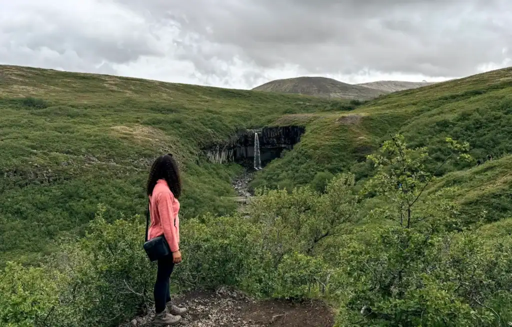 Hiker in pink jacket overlooking a waterfall in a green valley under cloudy sky.