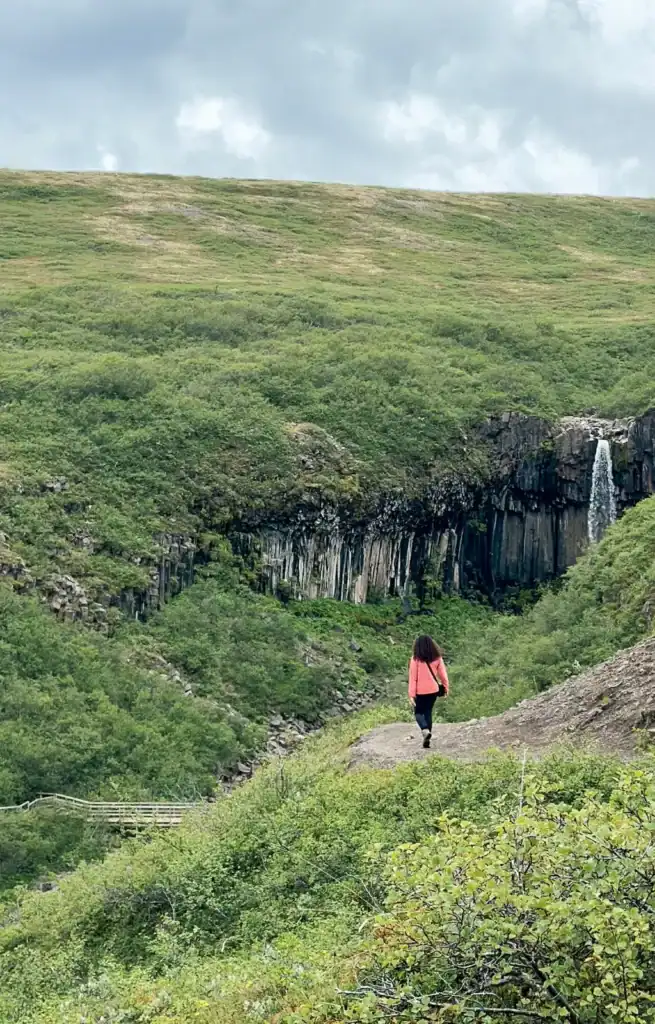 A person in a pink jacket walks towards a waterfall in a lush green landscape.
