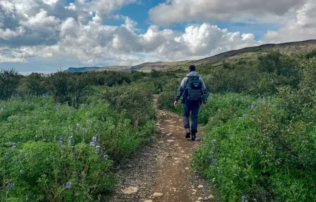 Hiker walking along a narrow trail through lush green landscape with purple wildflowers, under a partly cloudy sky.