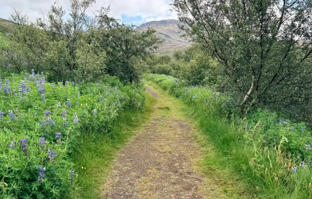 The start of the Glymur Hiking Trail