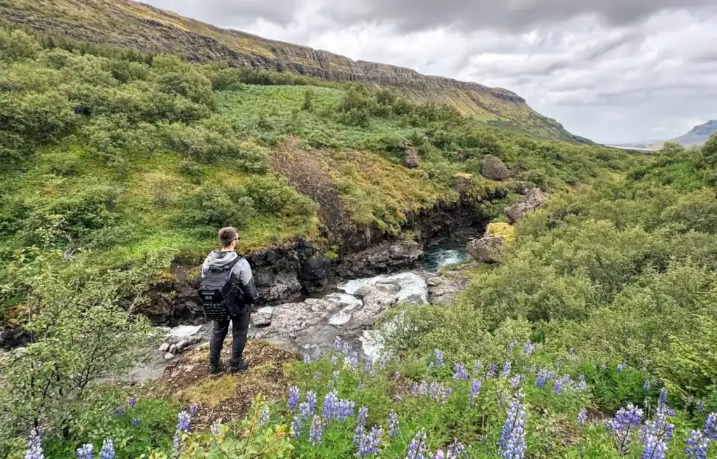 Hiker with backpack overlooking a river in a lush green valley with purple flowers and steep hills in the background.