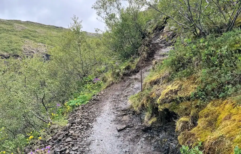 Narrow hiking trail on a hillside with green vegetation and mossy rocks, leading uphill in a lush landscape.