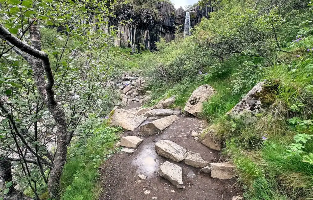 Rugged trail with rocks and greenery leading towards a waterfall in a lush forest.